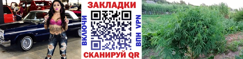 Псилоцибиновые грибы Дегтярск
