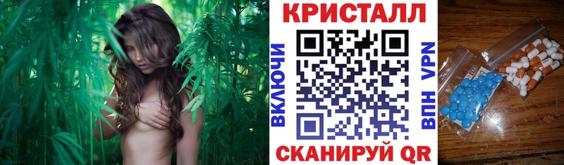 АМФ Розовый Дегтярск