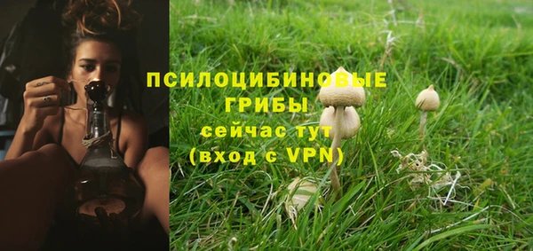 хмурый Зеленокумск