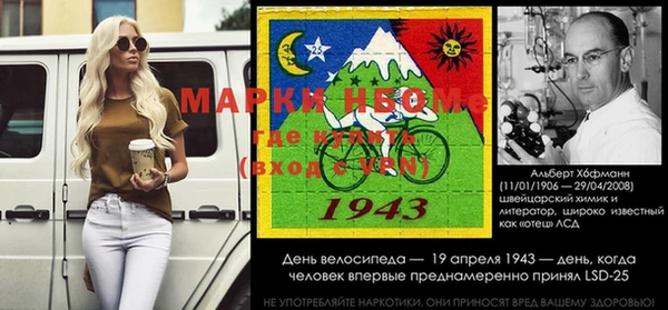 хмурый Зеленокумск