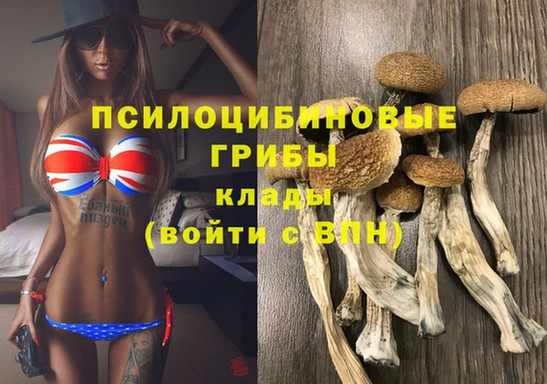 хмурый Зеленокумск