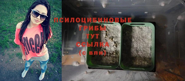 хмурый Зеленокумск