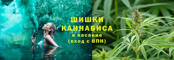 хмурый Зеленокумск