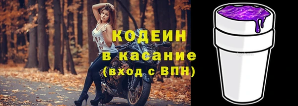 хмурый Зеленокумск